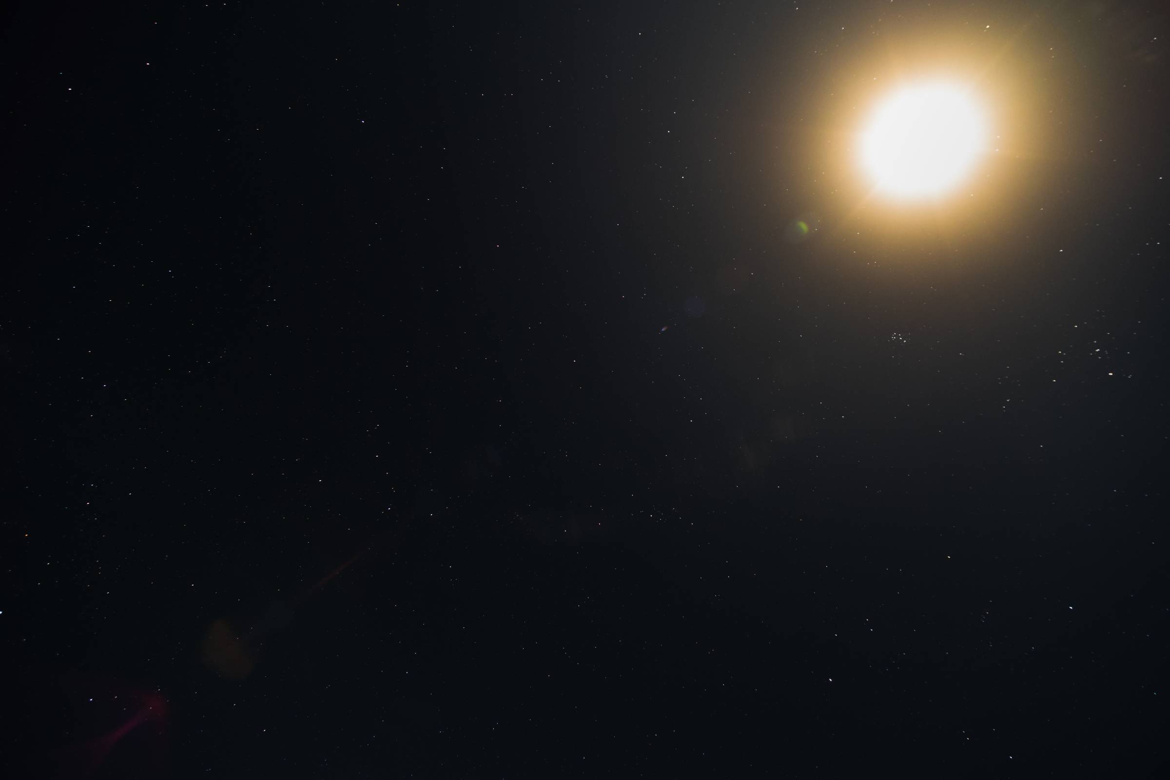 DSCF3267