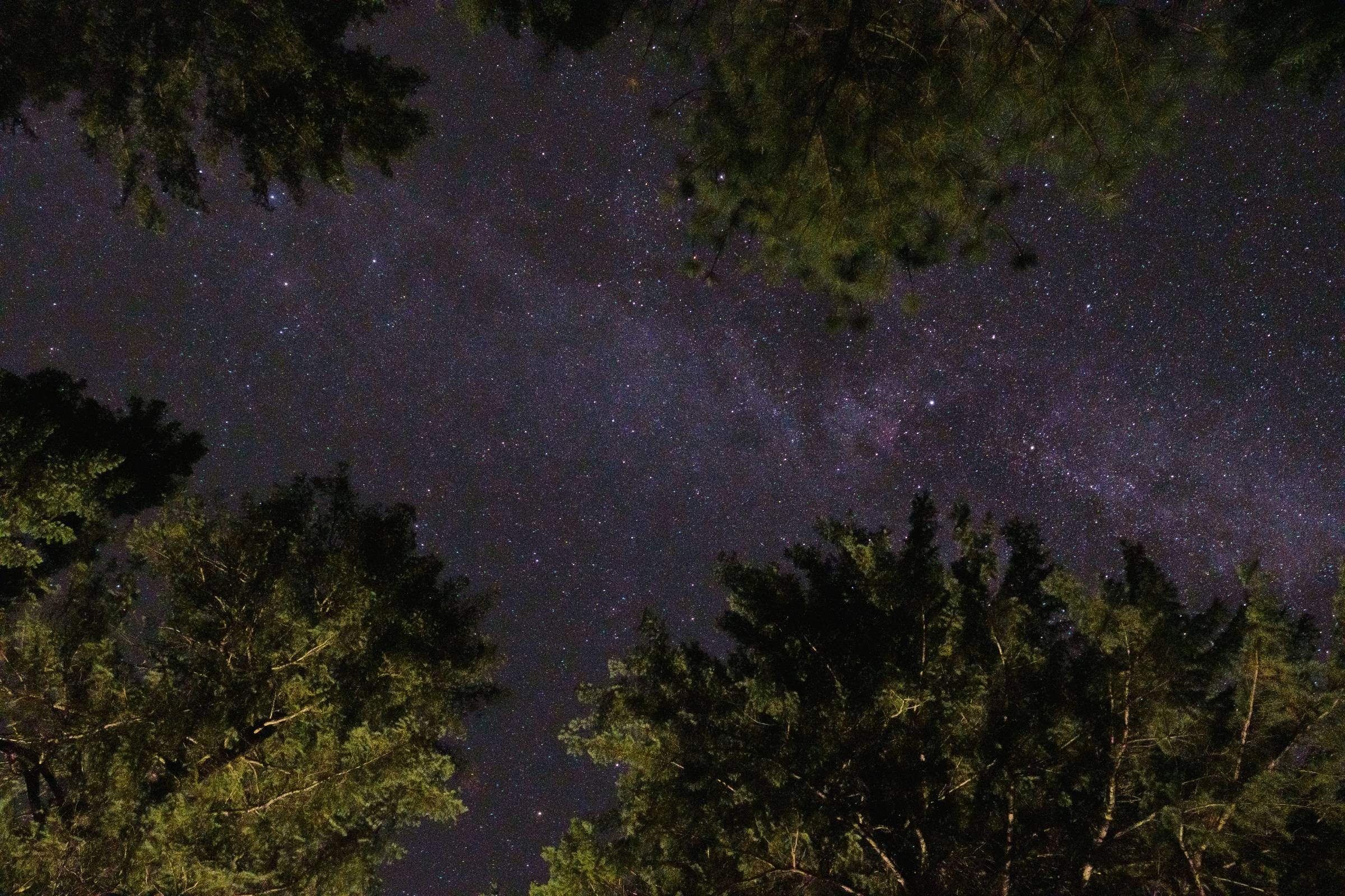 DSCF5415