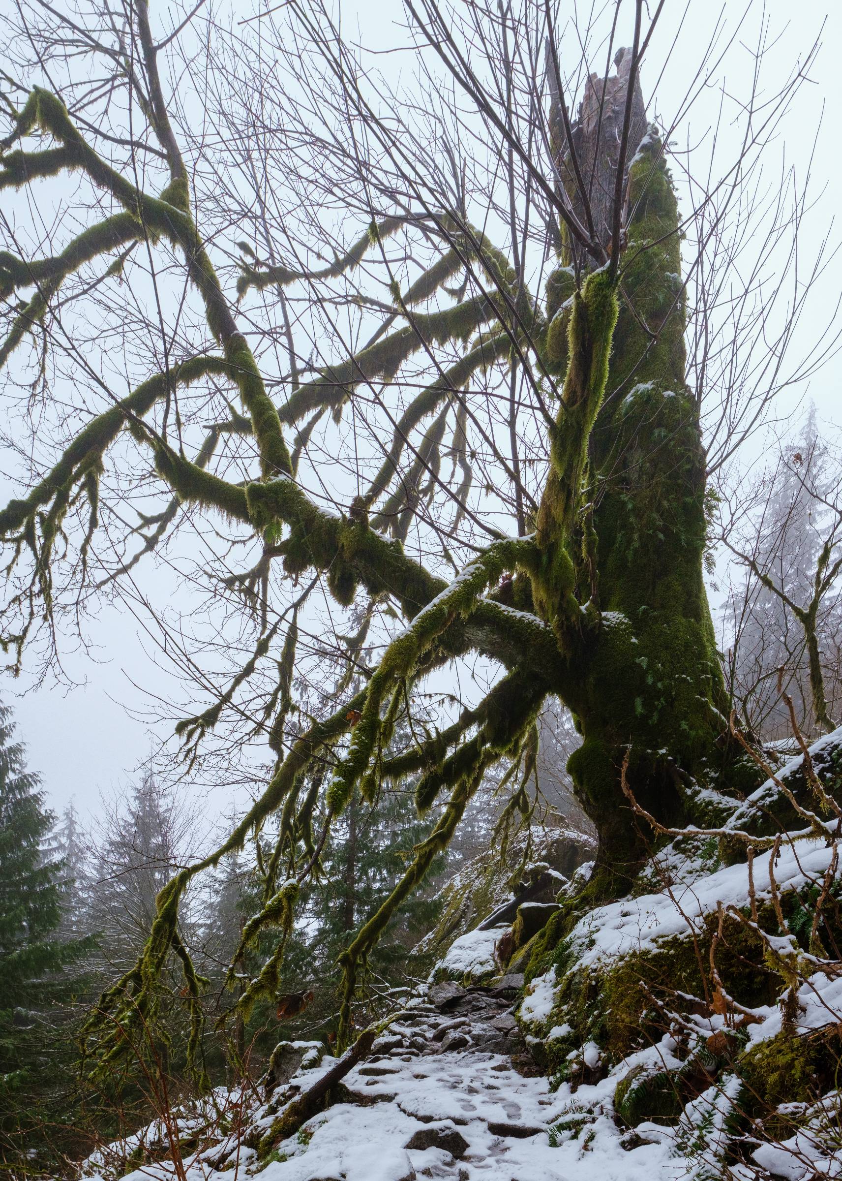 DSCF3148 Pano 2