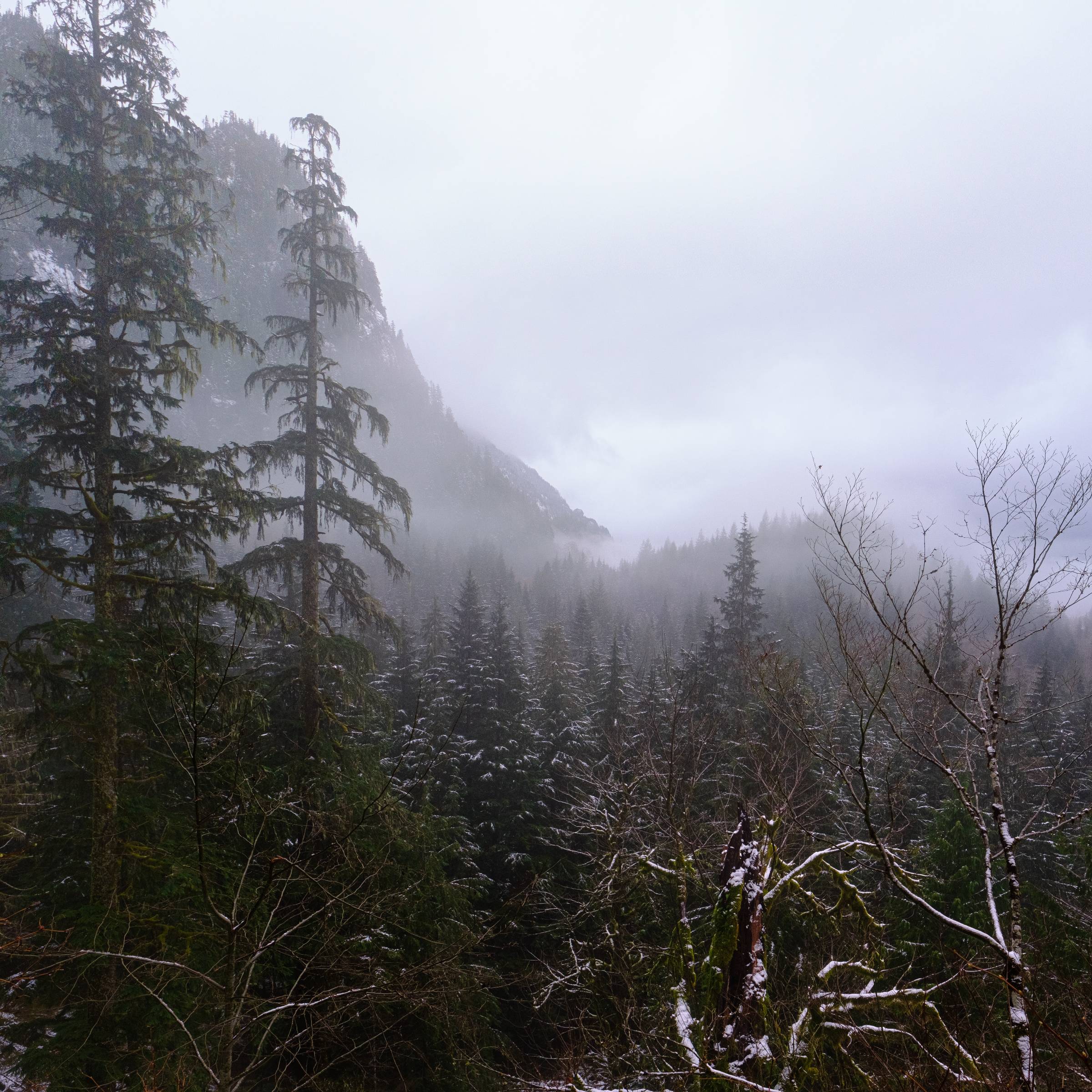 DSCF3155 Pano