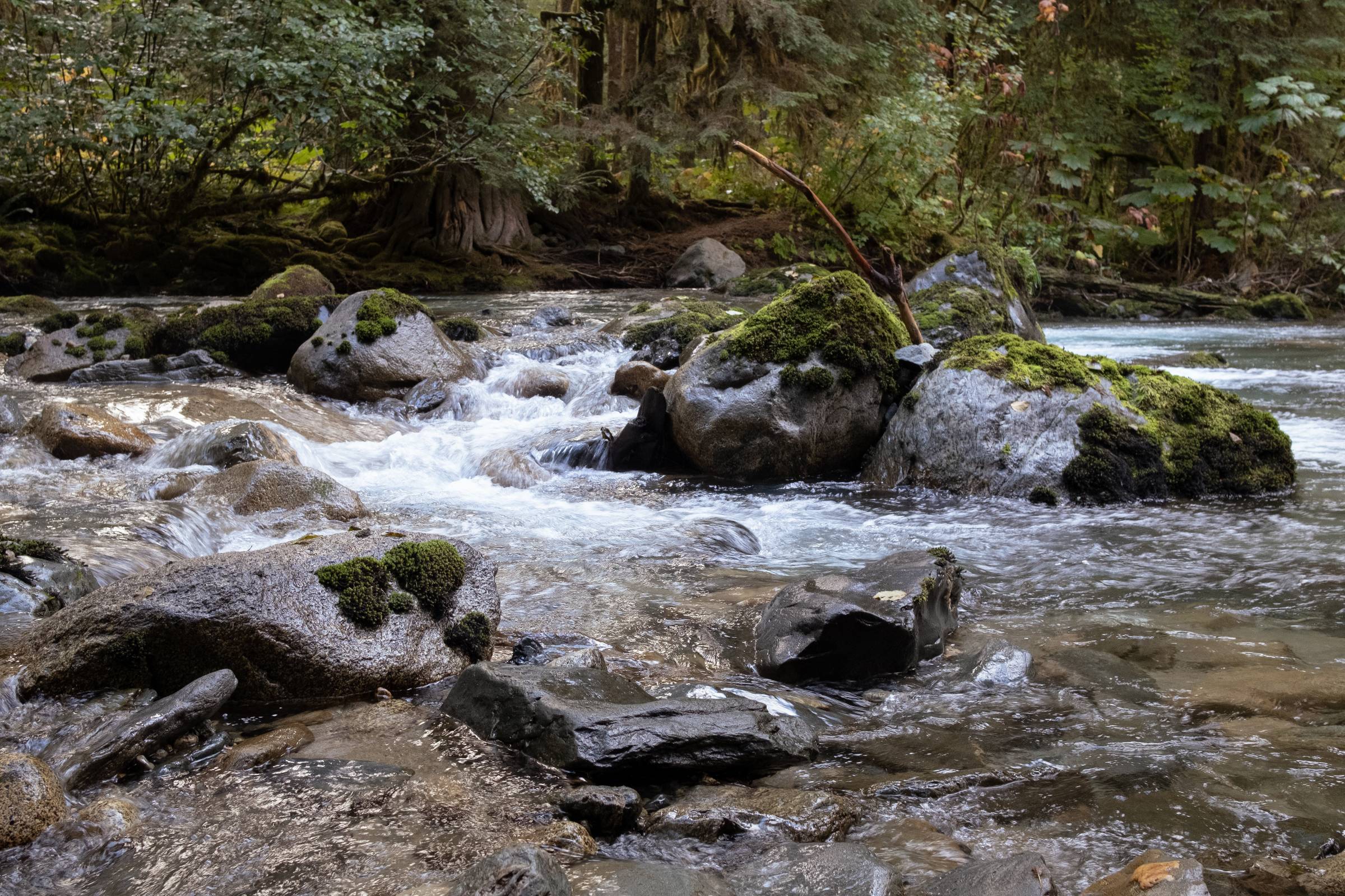 DSCF5315
