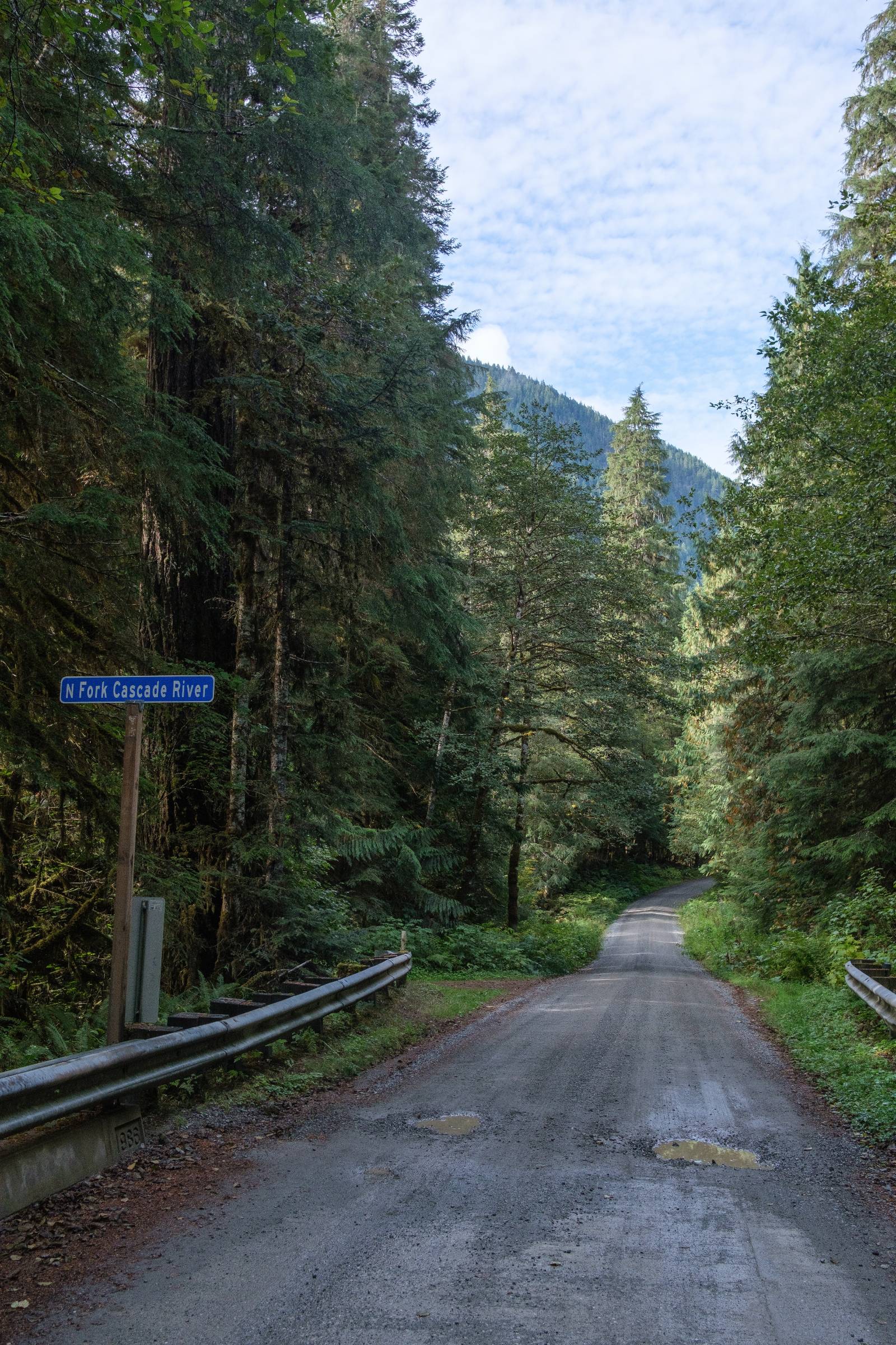 DSCF5334