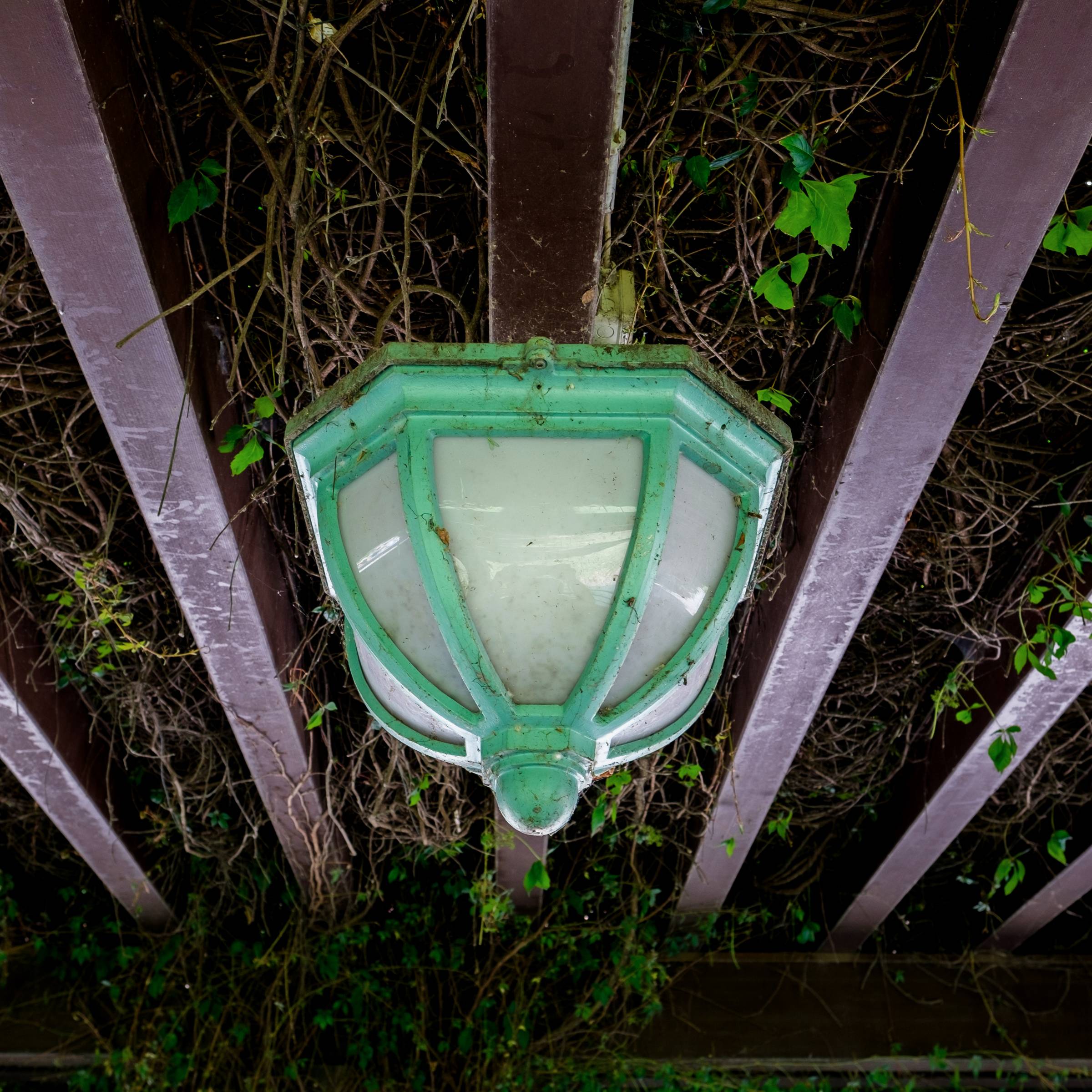 DSCF5478