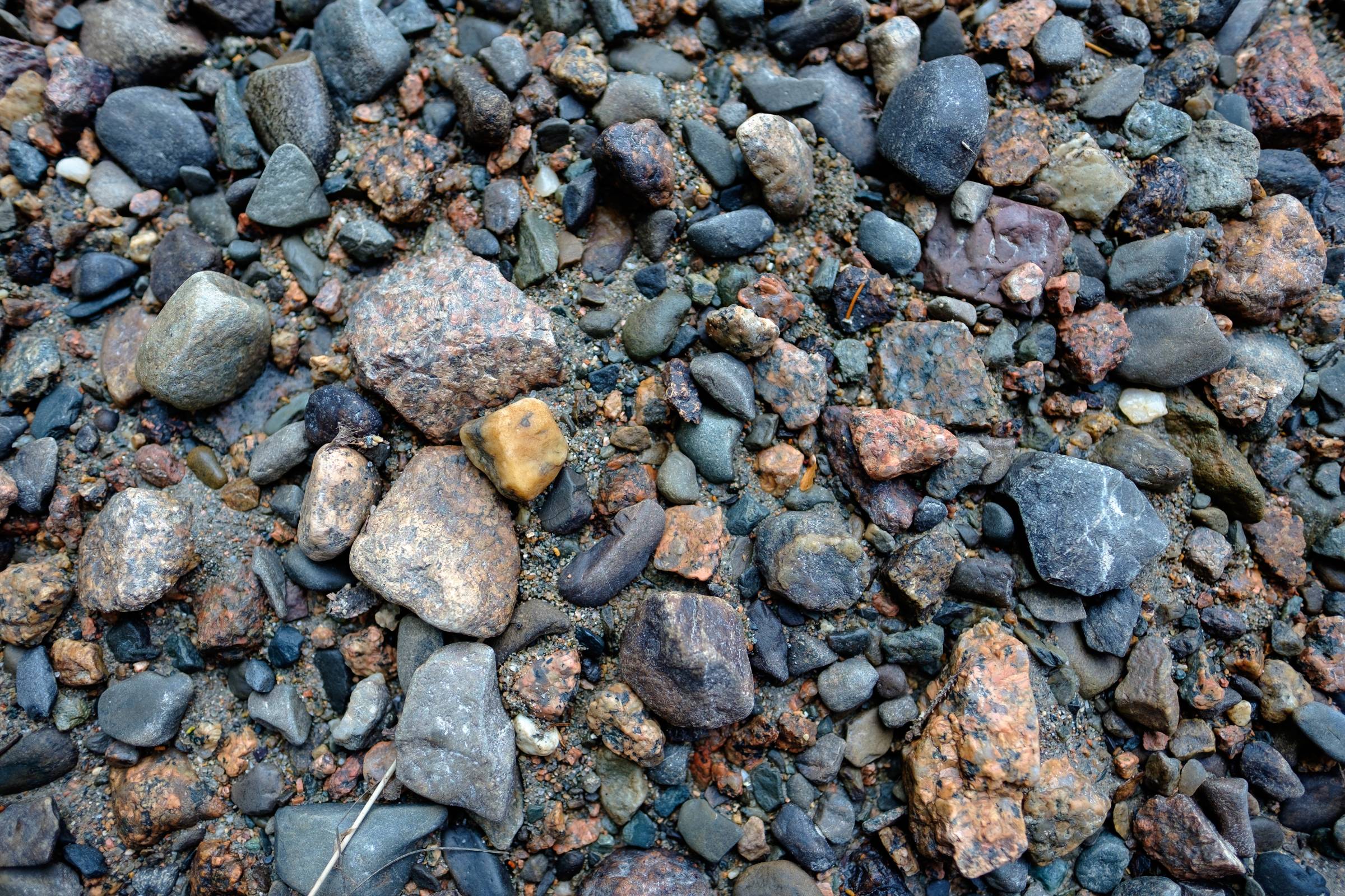 DSCF6170