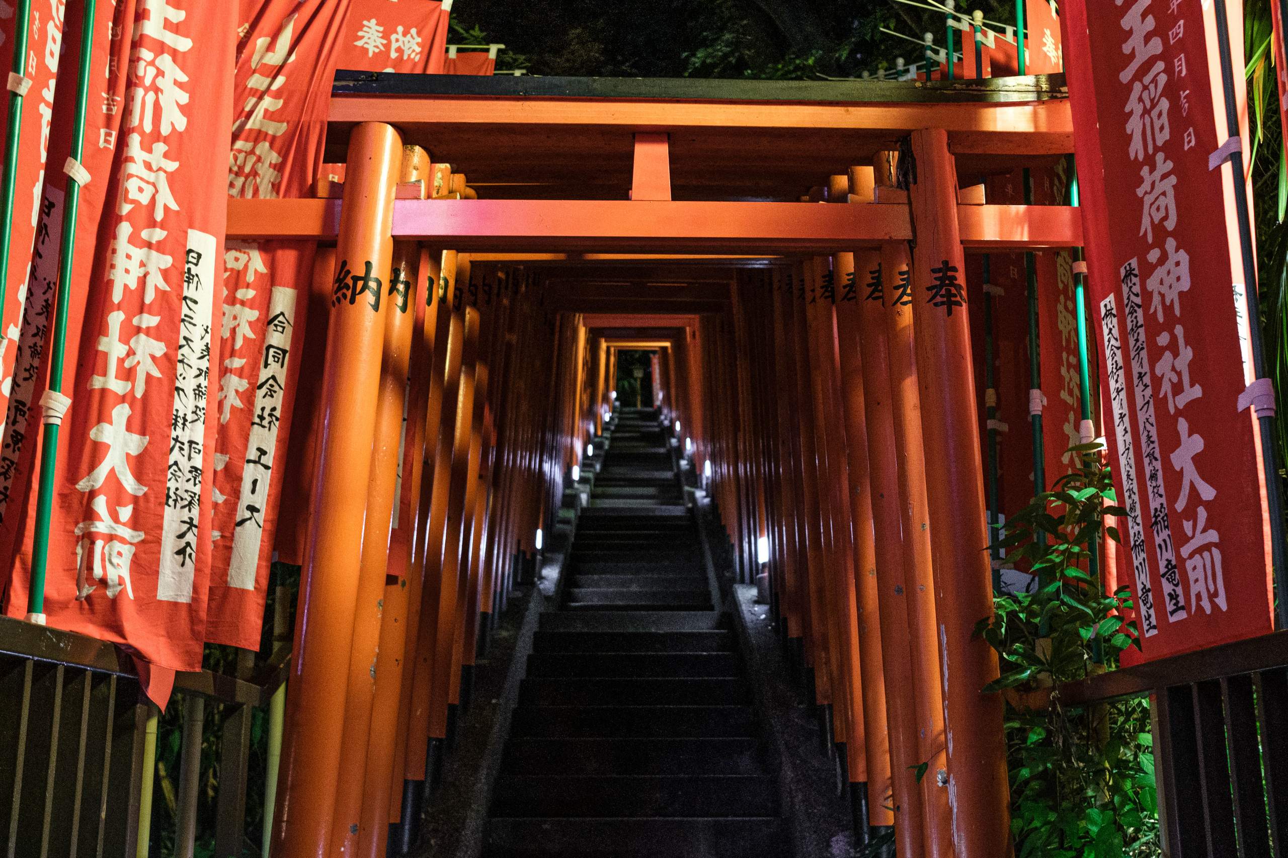 DSCF9705